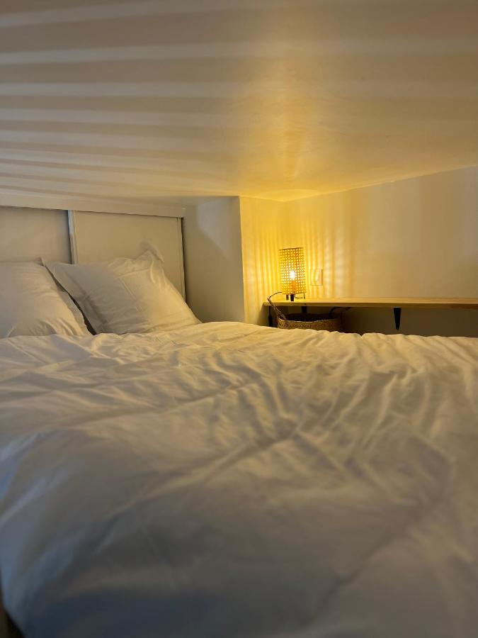 Appartement Le Nid Douillet - Hypercentre - A 2 Pas De La Gare *